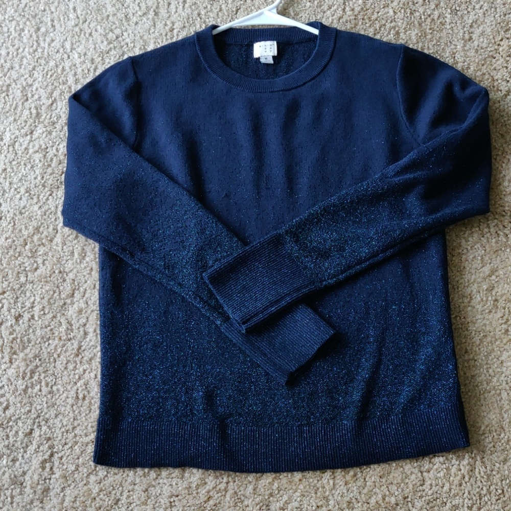 Women's blue sweater